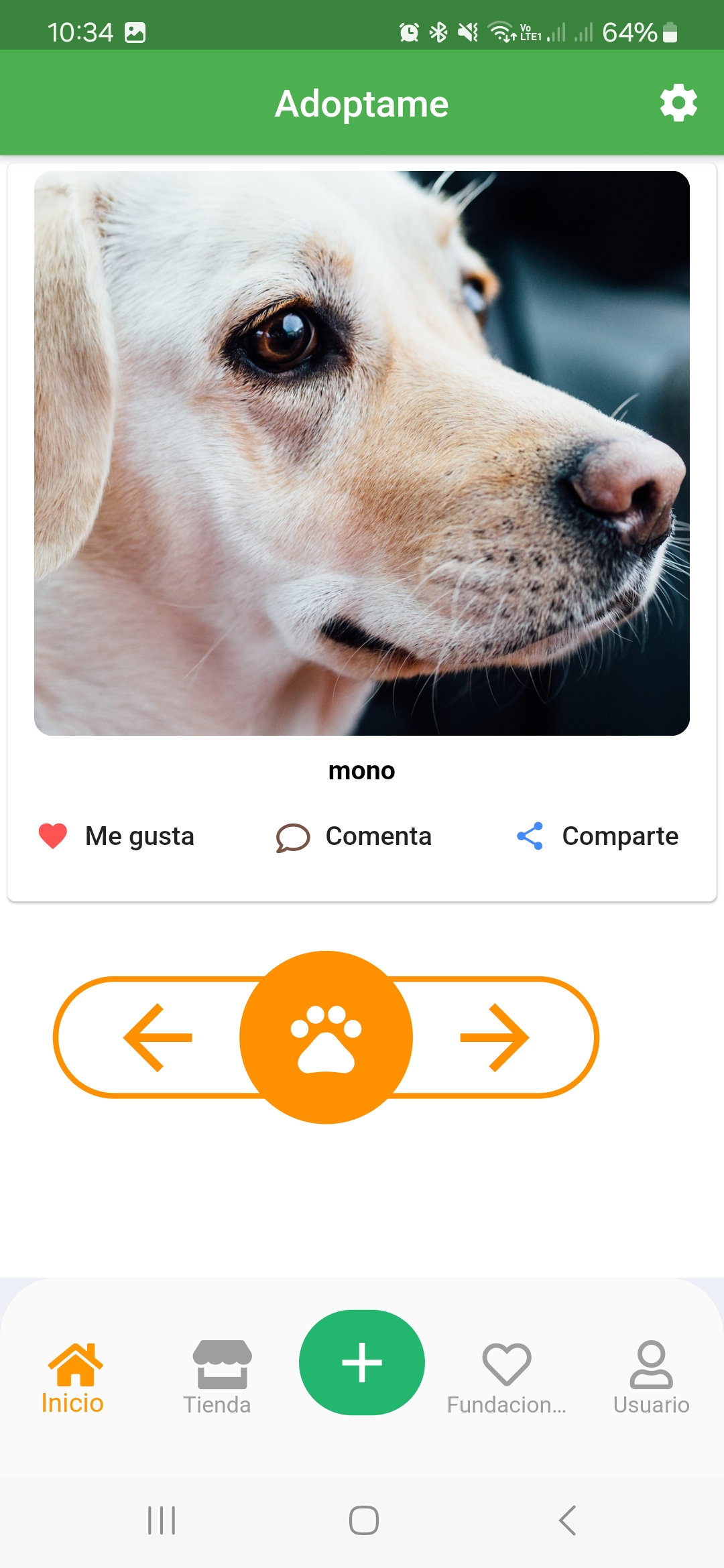 Adoptame 2